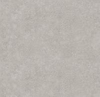 585088-rap-oboykin-avisto-suzana