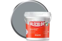 Эмаль OLECOLOR акриловая для пола 1кг серый туман