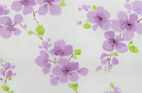 s6f36w01lehgy53lvhs1imtwh2zt1ufp