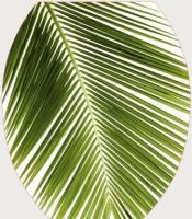 Сиденье для унитаза Универсал Пальма