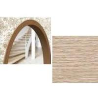 дуб северный