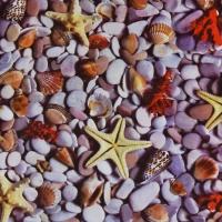 jcqwbs3jes2f5vhrgfna234d502kxtia